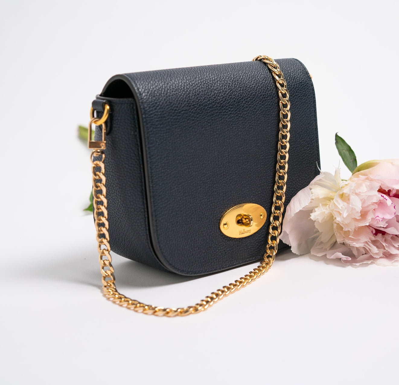 Handbag Chains